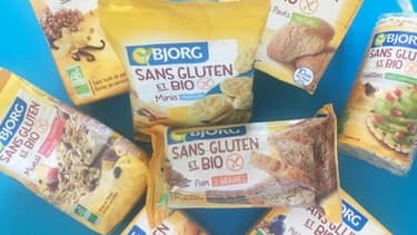 Alter Eco avait intégré en 2013 l’entreprise Bjorg Bonneterre et Compagnie et ses marques bio, détenues par le groupe néerlandais Wessanen.