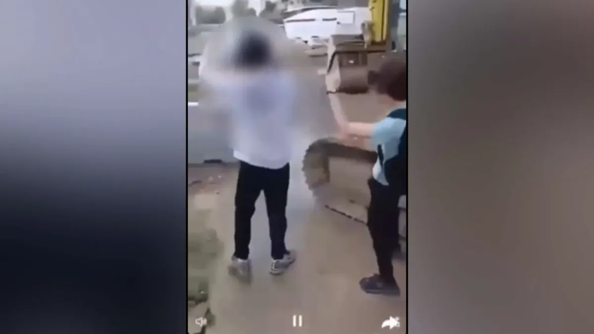 placeholder video