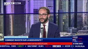 Partageons nos valeurs: Comment investir sur la biodiversité ? - 15/06