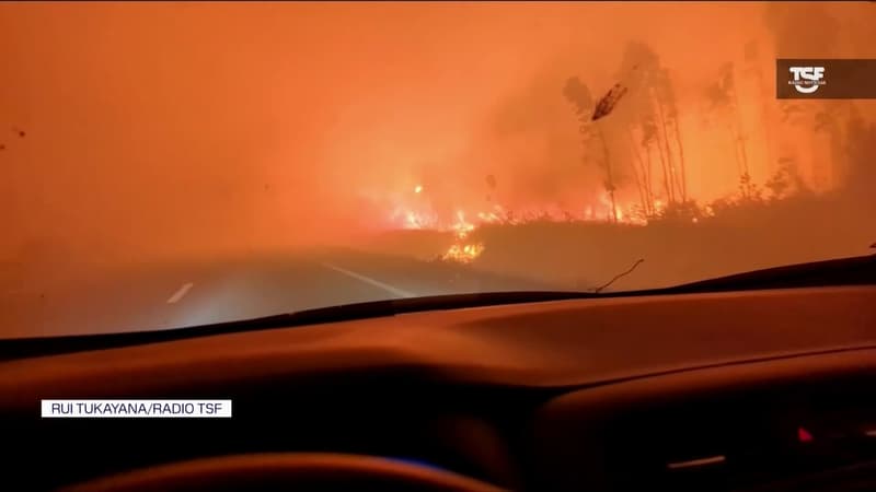 Portugal: un journaliste filme sa traversée d'un incendie en pleine autoroute