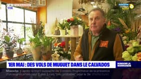 Calvados: les fleuristes craignent les vols de muguet avant le 1er-Mai
