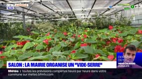 Salon-de-Provence: la mairie organise un "vide-serre"
