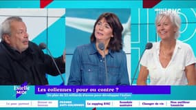 "On préfère voir des bateaux et des voiliers plutôt que des éoliennes, c'est vraiment moche !" Sur les éoliennes, entre le cœur et la raison, Annie Lemoine a tranché ! 