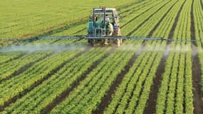 Image d'illustration - un tracteur en train d'épandre des pesticides
