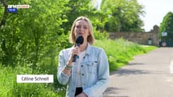 Habitat en Alsace : best-of 2024-2025