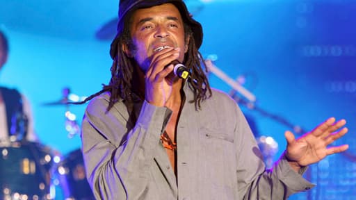 En 2010, l’ancien tennisman Yannick Noah est en tête des chanteurs les mieux payés, avec des revenus estimés à 3,8 millions d’euros.