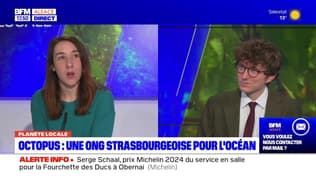 Planète locale du lundi 18 mars - Octopus : une ONG strasbourgeoise pour l'océan
