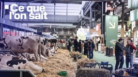 Un agriculteur conduit un tracteur à la veille de l'ouverture du 61e Salon international de l'agriculture à Paris, le 21 février 2025.
