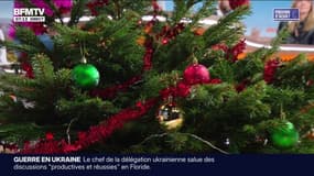 Pour Noël, est-ce possible de trouver un sapin et des décorations pour moins de 30 euros?