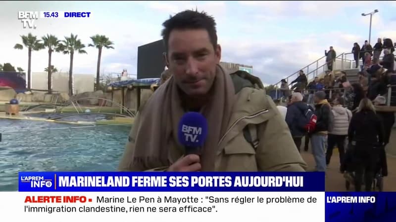 Fermeture du parc de Marineland: l'émotion des spectateurs et des dresseurs