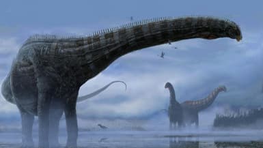 Illustration d'artiste d'un dinosaure sauropode, fournie le 11 février 2022 par la revue Scientific Reports