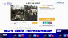 Deux éleveurs de Wambrechies condamnés pour "la ferme de l'horreur"