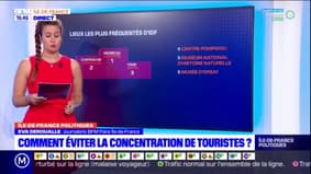 Île-de-France: comment éviter la concentration de touristes?