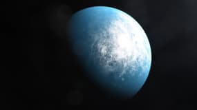 Image diffusée par la NASA montrant une illustration de la planète TOI 700 d, découverte par le satellite TESS, la première planète de la taille de la Terre et pouvant être habitable.