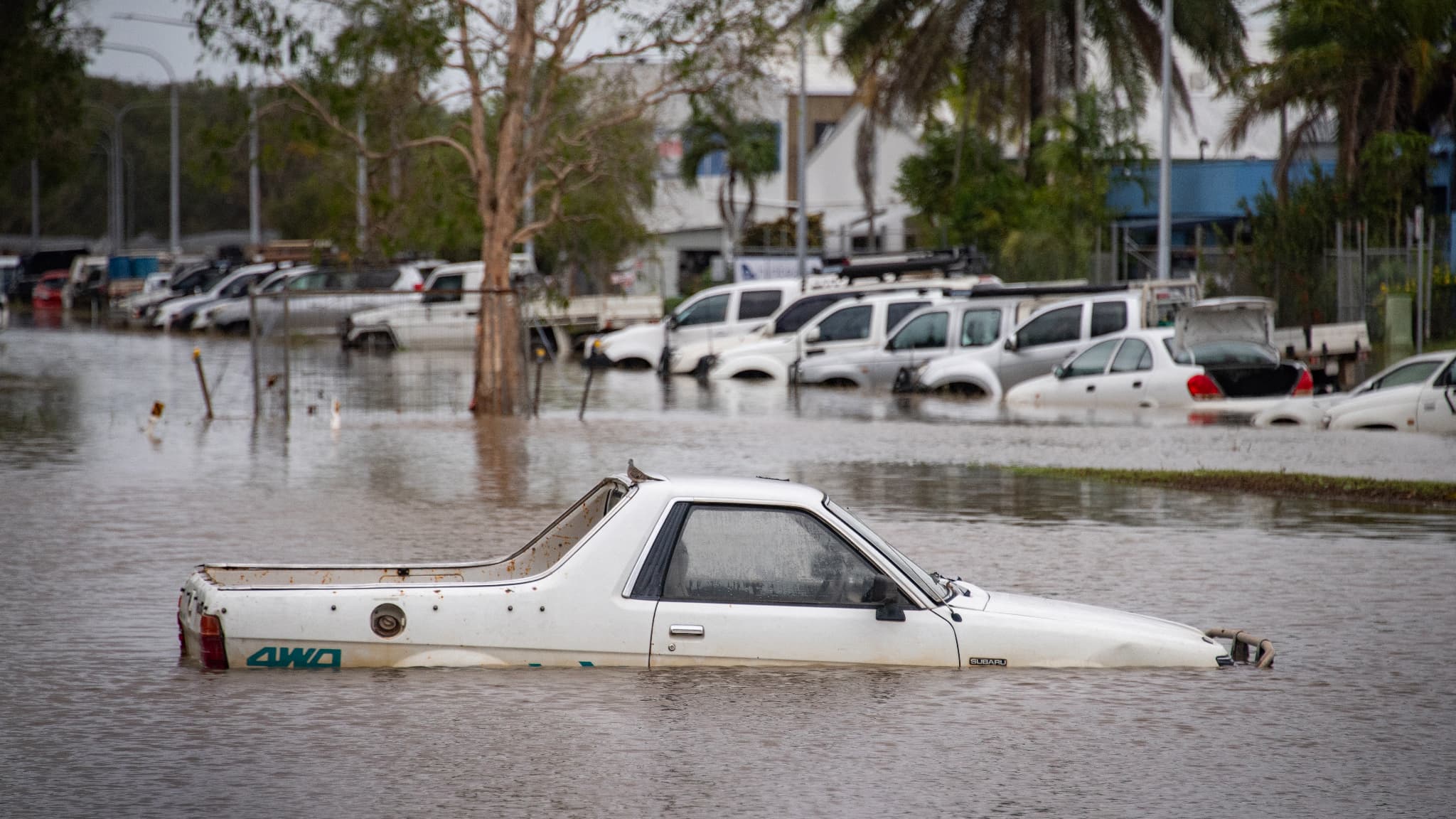 Cette photo montre des voitures au milieu des eaux de crue à l'aéroport de Cairns, à Cairns, le 18 décembre 2023. Des inondations soudaines ont submergé le nord-est de l'Australie le 18 décembre, les eaux en furie coupant les routes et chassant les crocodiles dans les villes.