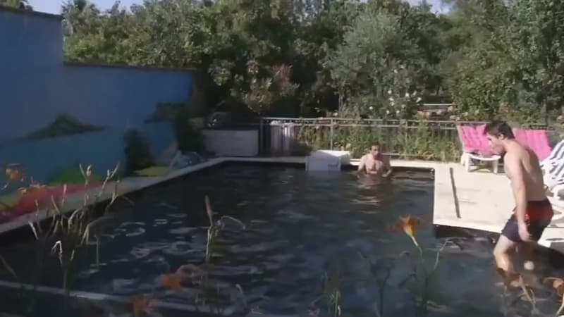 Swimmy