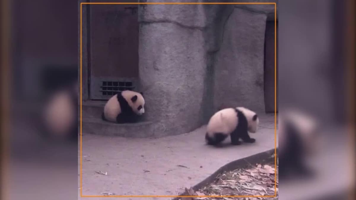 placeholder video