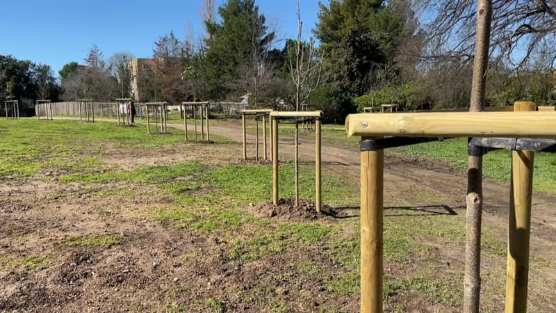Le jardin de la Mathilde, dans le 9e arrondissement de Marseille, en mars 2024.