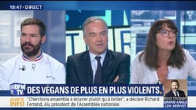 Des vegans de plus en plus violents