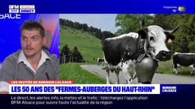 Les "fermes-auberges" du Haut-Rhin fêtent leur 50 ans