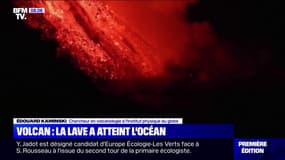 Éruption aux Canaries: les fumées émises par le contact entre la lave et l'océan "sont un péril pour la santé", selon ce chercheur en volcanologie