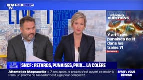 Y a-t-il des punaises de lit dans les trains? BFMTV répond à vos questions