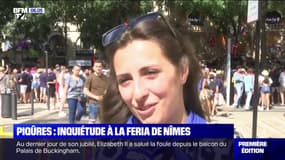 Piqûres sauvages: l'inquiétude des participants de la feria de Nîmes