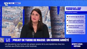 Projet de tuerie de masse: que sait-on de l'homme de 26 ans interpellé à Bordeaux? BFMTV répond à vos questions