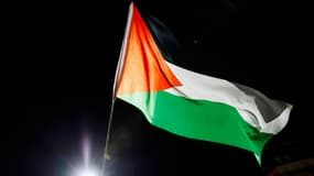 Un drapeau palestinien lors d'une manifestation à Paris le 13 novembre 2024 (photo d'illustration).