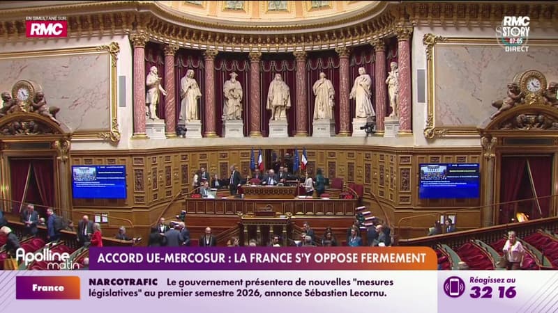 Accord UE-Mercosur : la France s'y oppose fermement