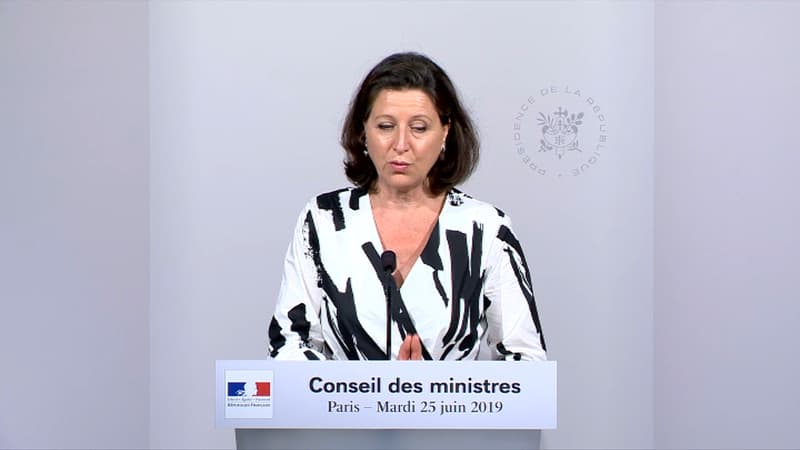 Agnès Buzyn