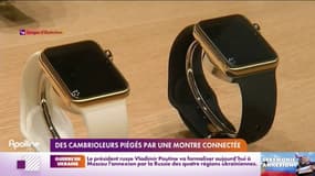 Dans les Bouches-du-Rhône, des cambrioleurs piégés par leur propre butin