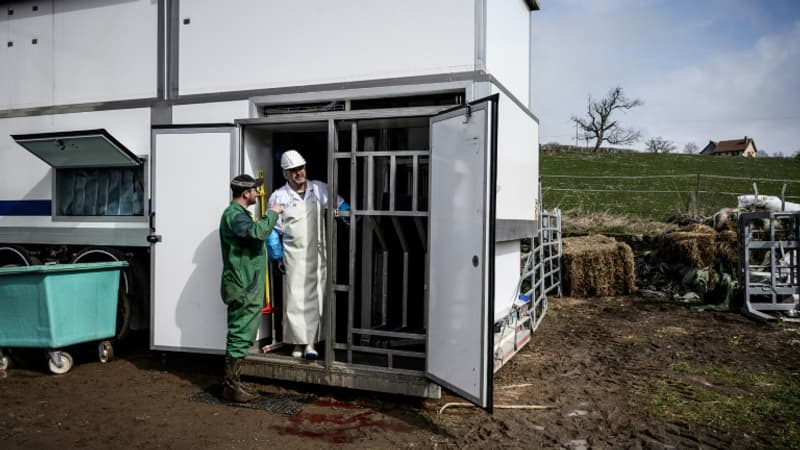 Forcalquier: le projet d'un abattoir mobile se dessine avec les éleveurs