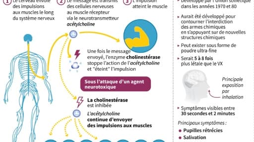 Le"Novitchok" Le"Novitchok"
