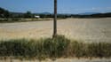 La sécheresse à Grignan, dans la Drôme, en juillet 2022. 