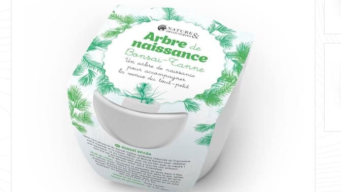 L'arbre de naissance de Nature et Découverte.
