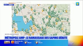 Le ramassage des déchets reprend dans la métropole et celui des sapins débute aujourd'hui