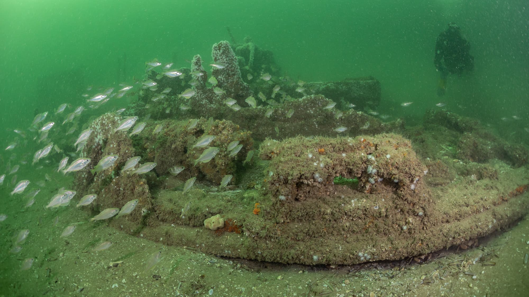 L'épave se trouve à 6 milles nautiques du Havre.