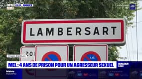 Nord: un ancien animateur périscolaire condamné à 4 ans de prison pour agressions sexuelles sur mineurs