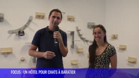 FOCUS : Un hôtel pour chats à Baratier