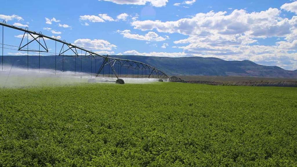 Les infrastructures agricoles sont comprises dans le prix de vente. Les infrastructures agricoles sont comprises dans le prix de vente.
