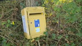 La boîte aux lettres de Grand Port bien cachée dans un bois du hameau.