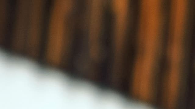 Le domicile de l'homme néonazi bouclé par la police allemande. 