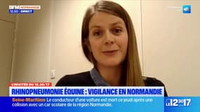 Rhinopneumonie équine: vigilance en Normandie