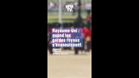 Les malaises des gardes royaux au Royaume-Uni