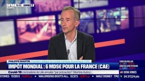 Philippe Martin (CAE) : Un impôt mondial rapporterait 6 milliards d'euros à la France - 29/06