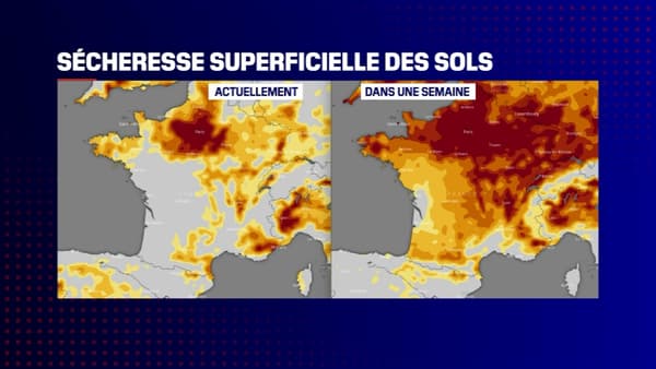 Carte de la sécheresse superficielle des sols actuellement et la semaine prochaine