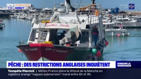 Normandie: les pêcheurs inquiets après des mesures britanniques d'interdiction de pêche dans la Manche 