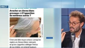 Non, arracher un cheveu blanc n'en fait pas pousser dix
