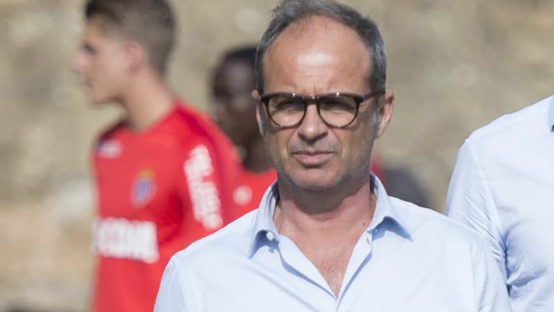 Luis Campos